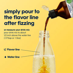 Sodastream Classics® Diet Ginger Ale Drink Mix 4 Pack 440ml